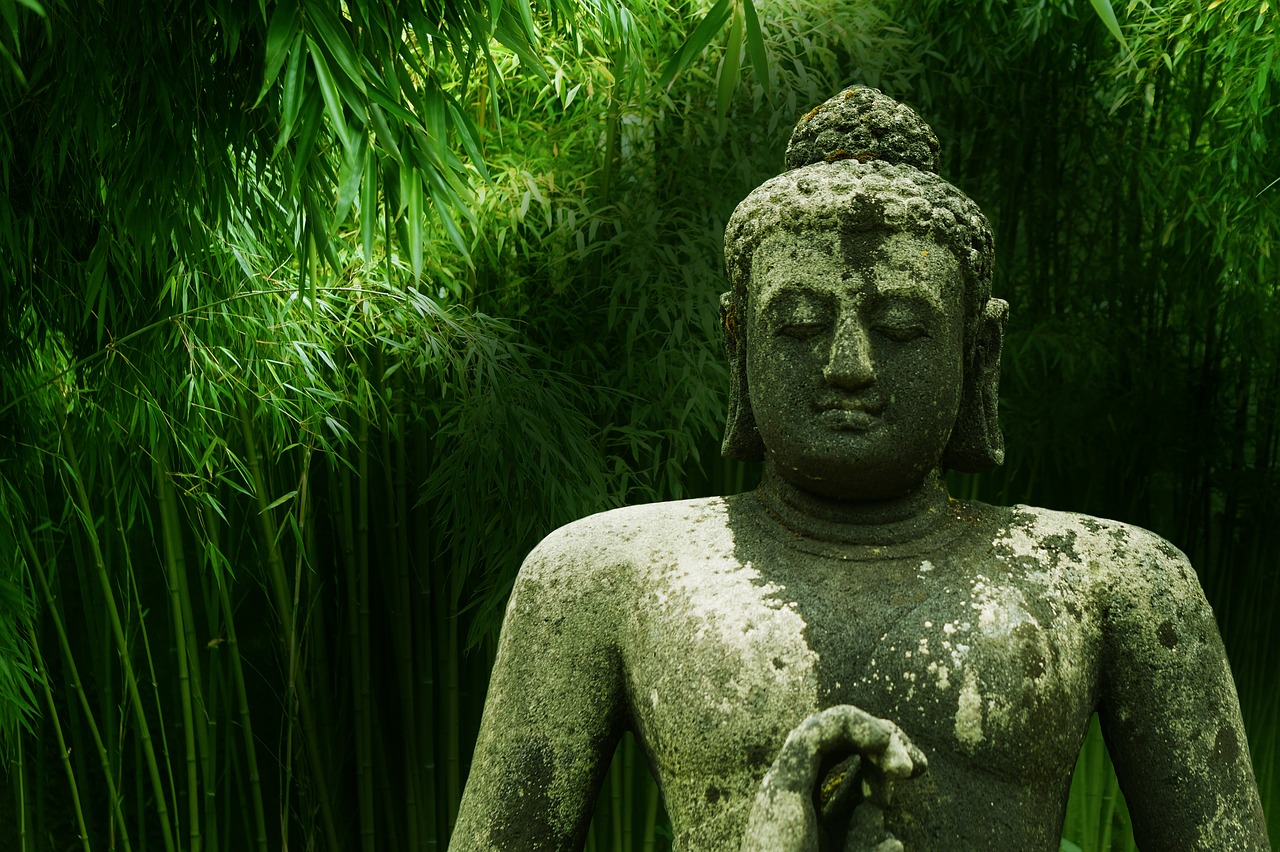 buddha bamboo meditation free photo