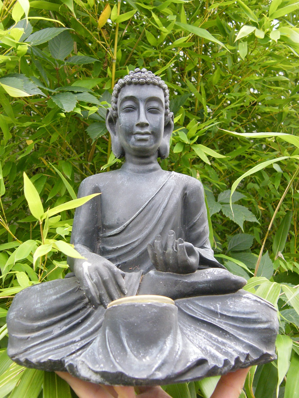 buddha bamboo sit free photo