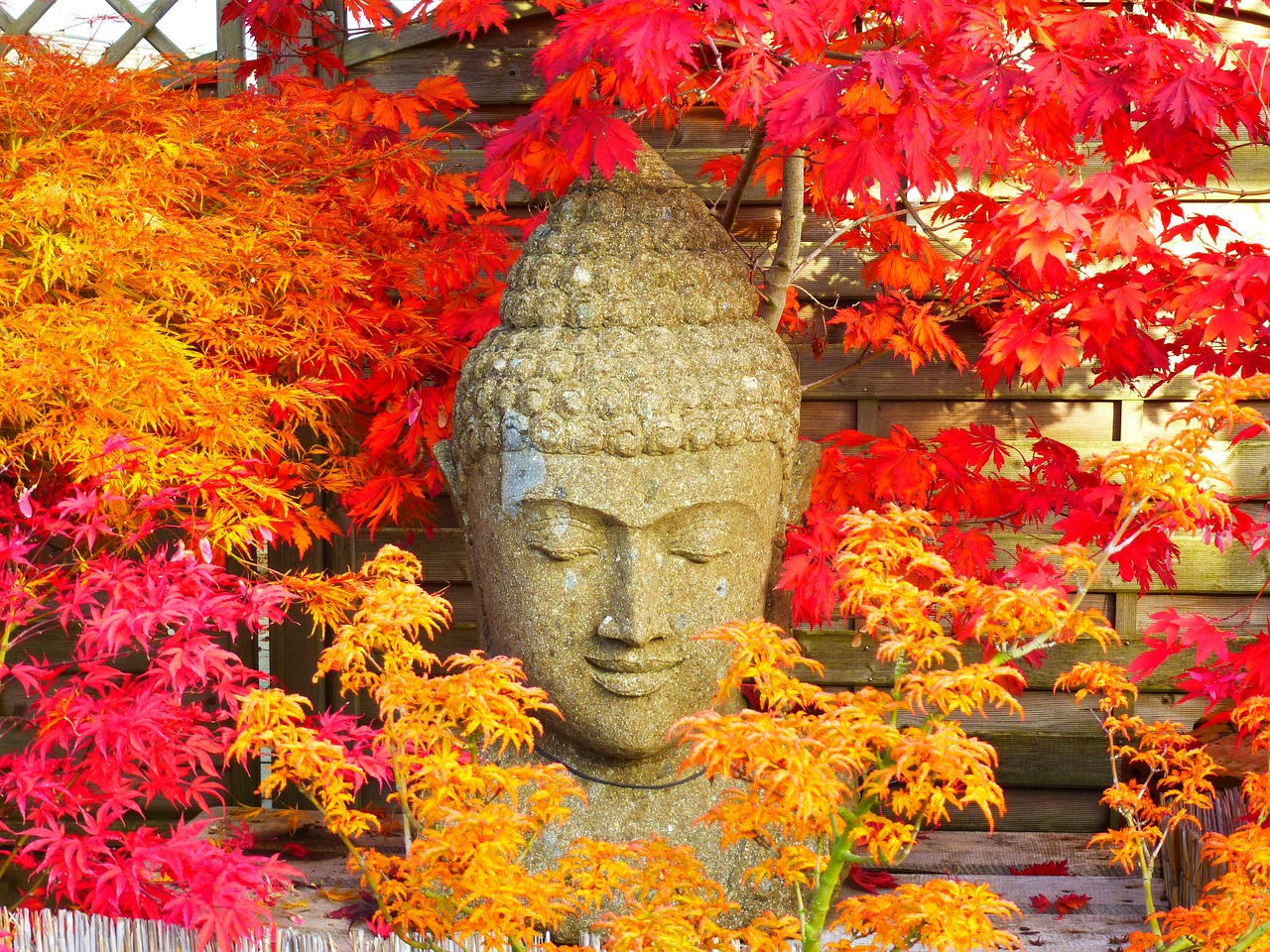buddha figure statue free photo