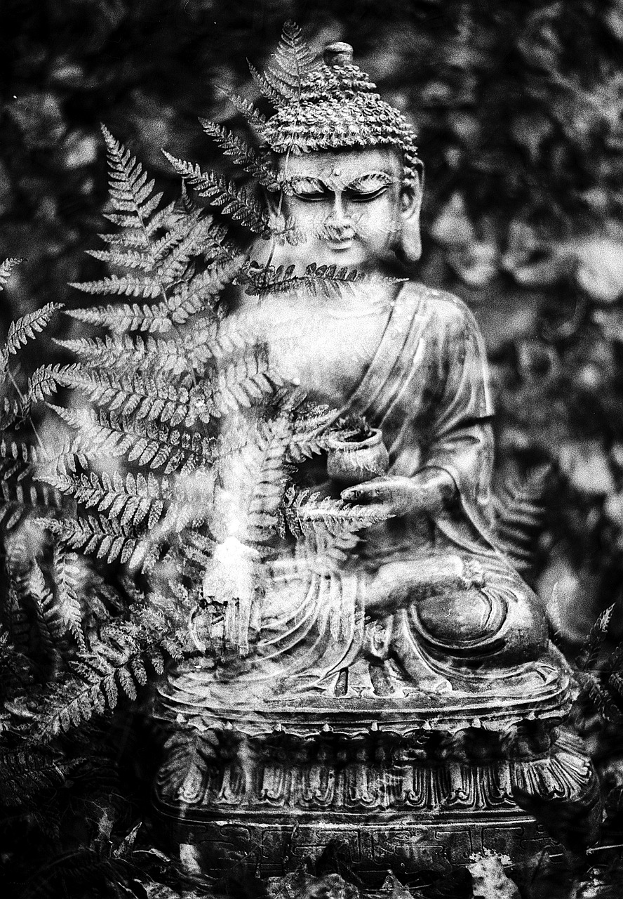 buddha leaf religion free photo