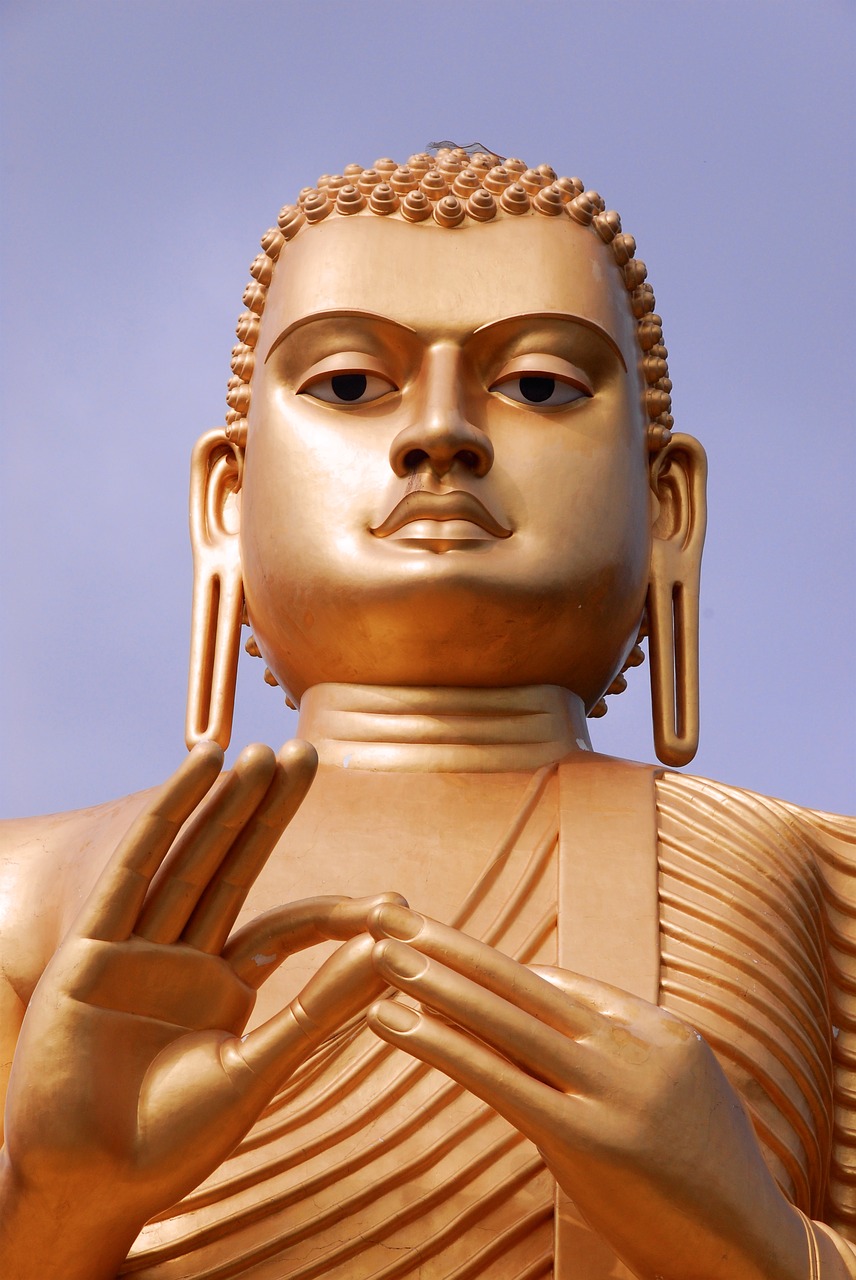 buddha buddhist buddhism free photo