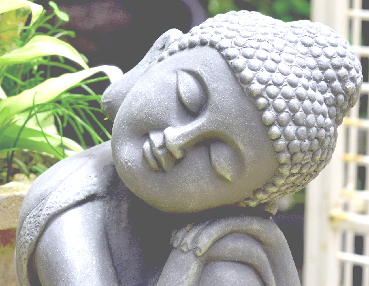 buddha peace garden free photo