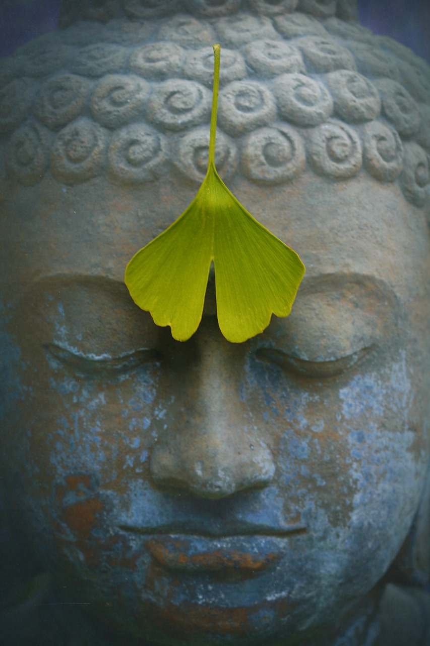 buddha zen meditation free photo