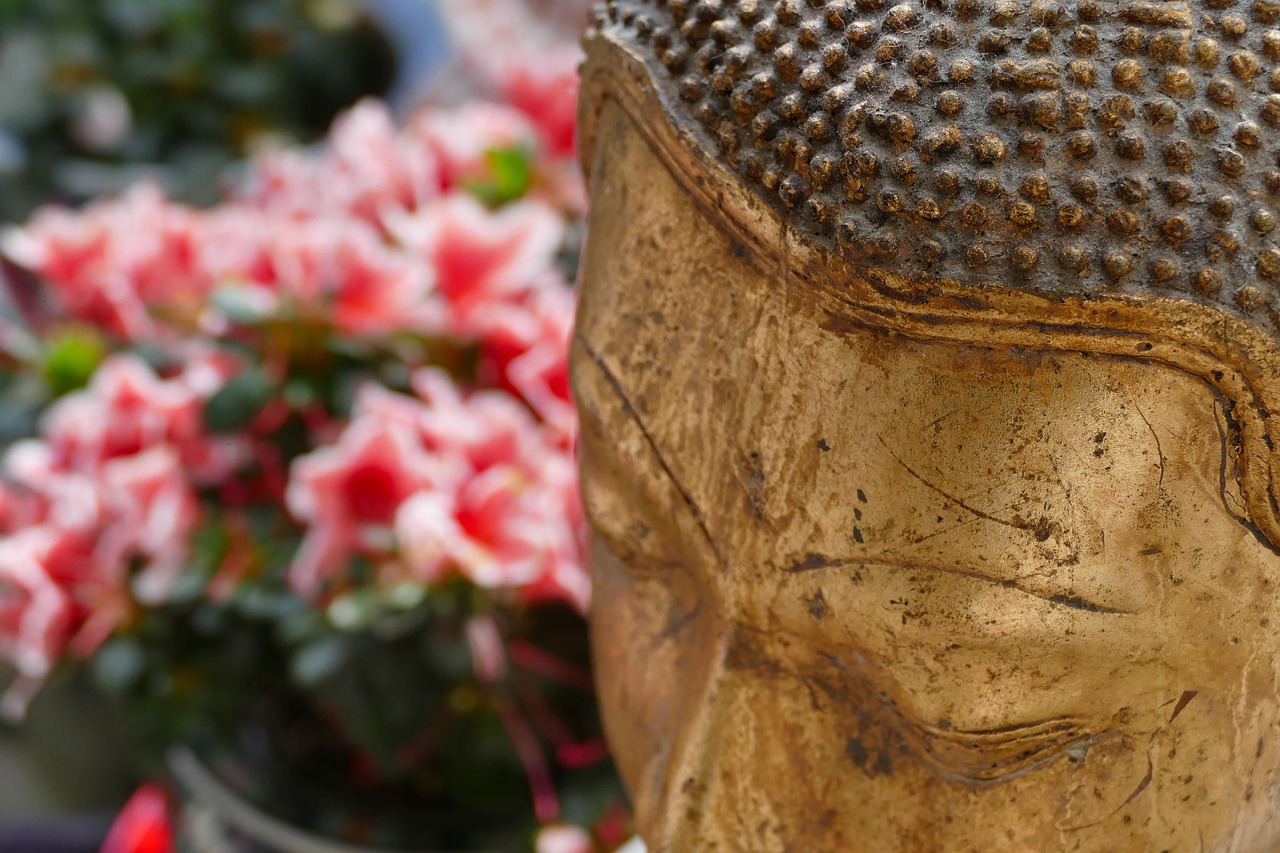 buddha  religion  background free photo