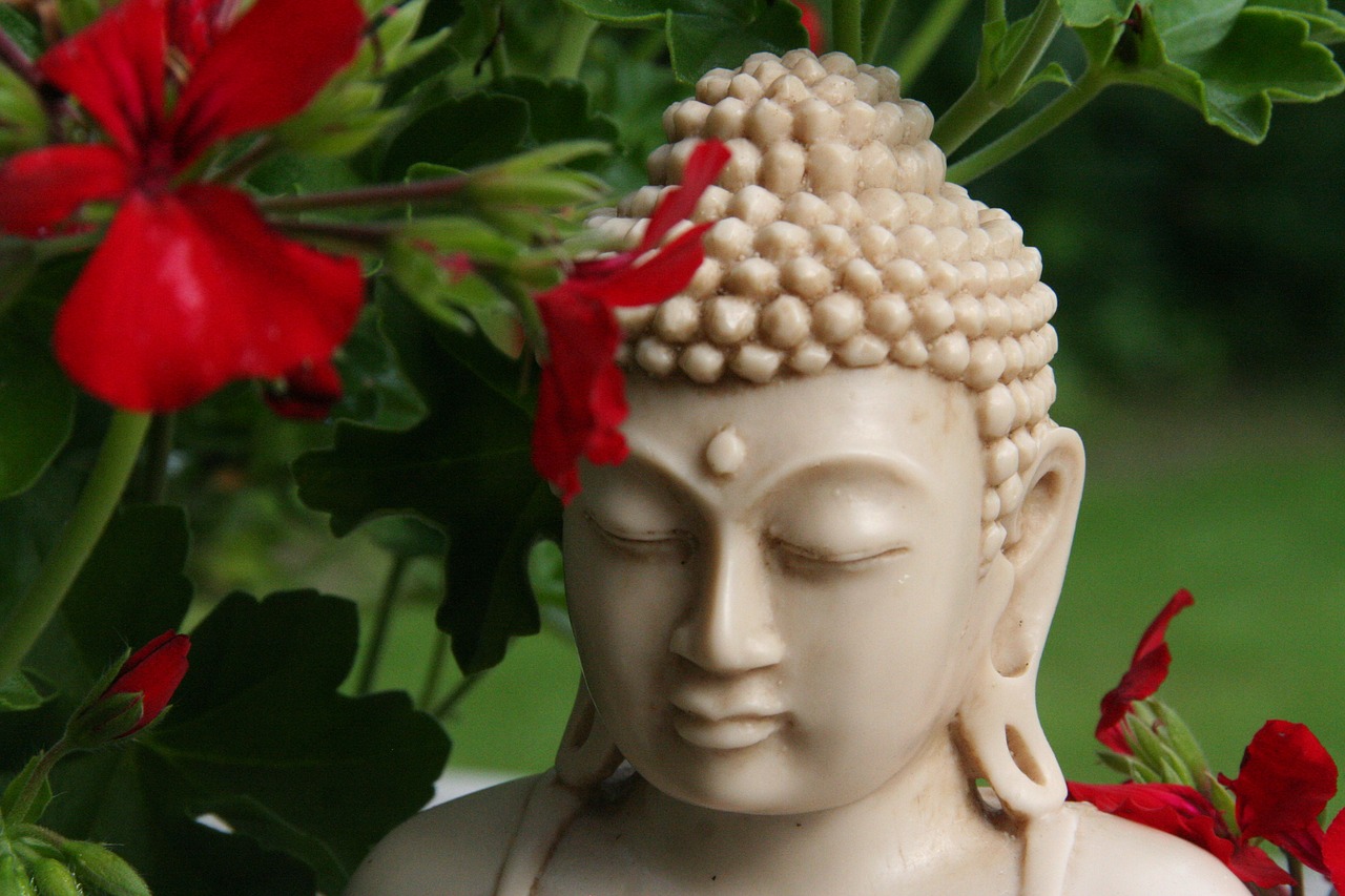 buddha  statue  religion free photo