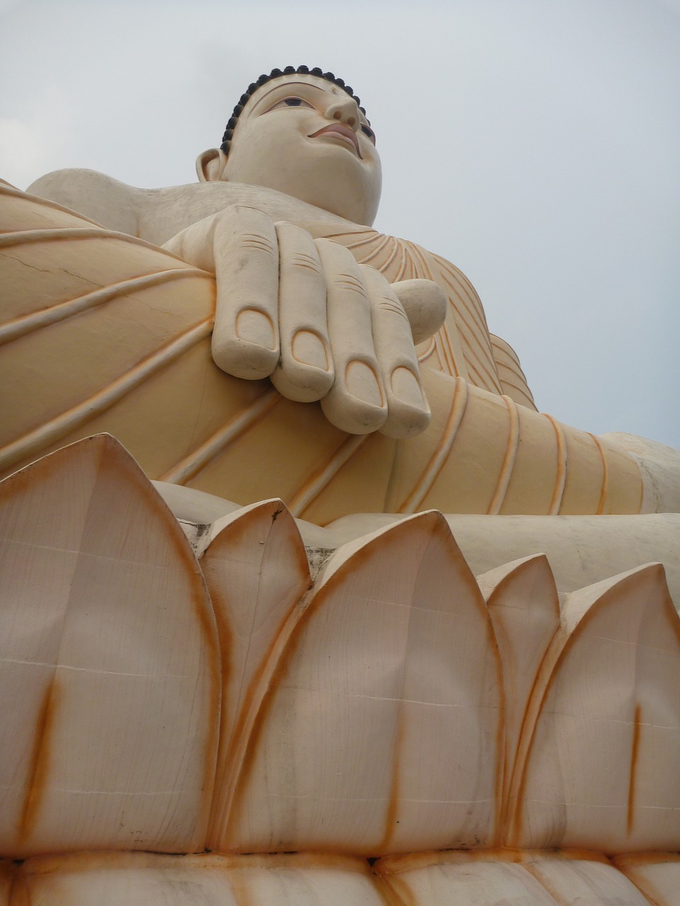 buddha the statue buddhism free photo