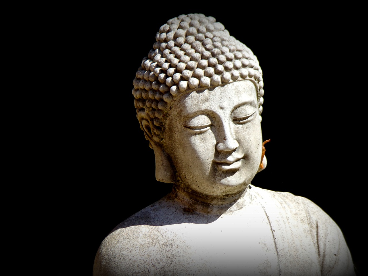 buddha  zen  meditation free photo