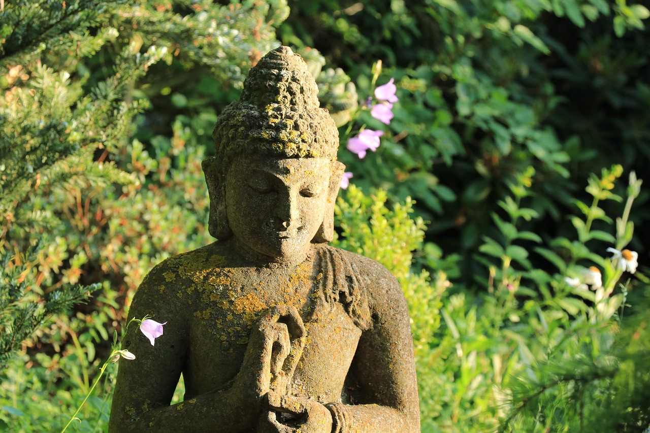 buddha  garden  nature free photo