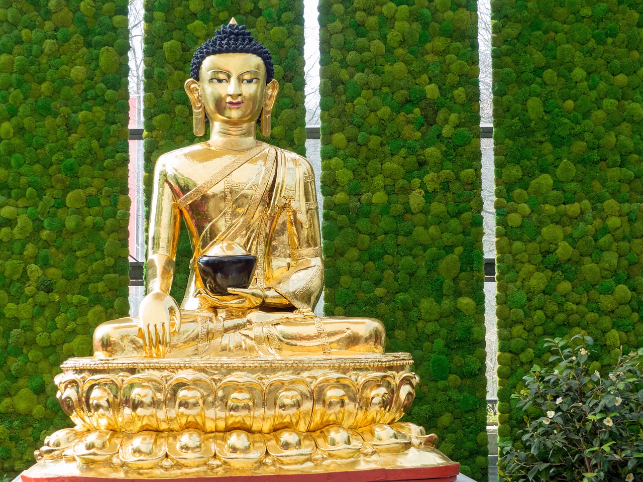 buddha  bremen  statue free photo