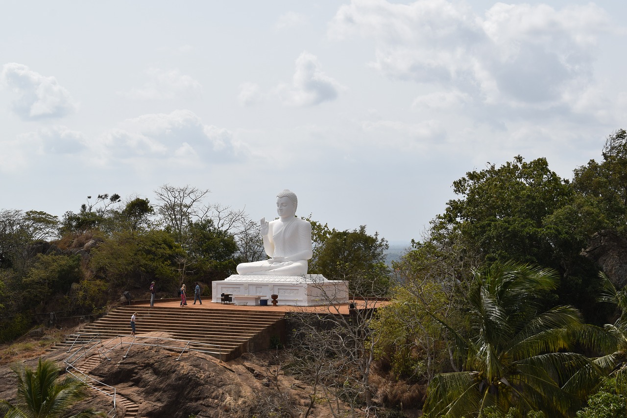 buddha  forest  asia free photo