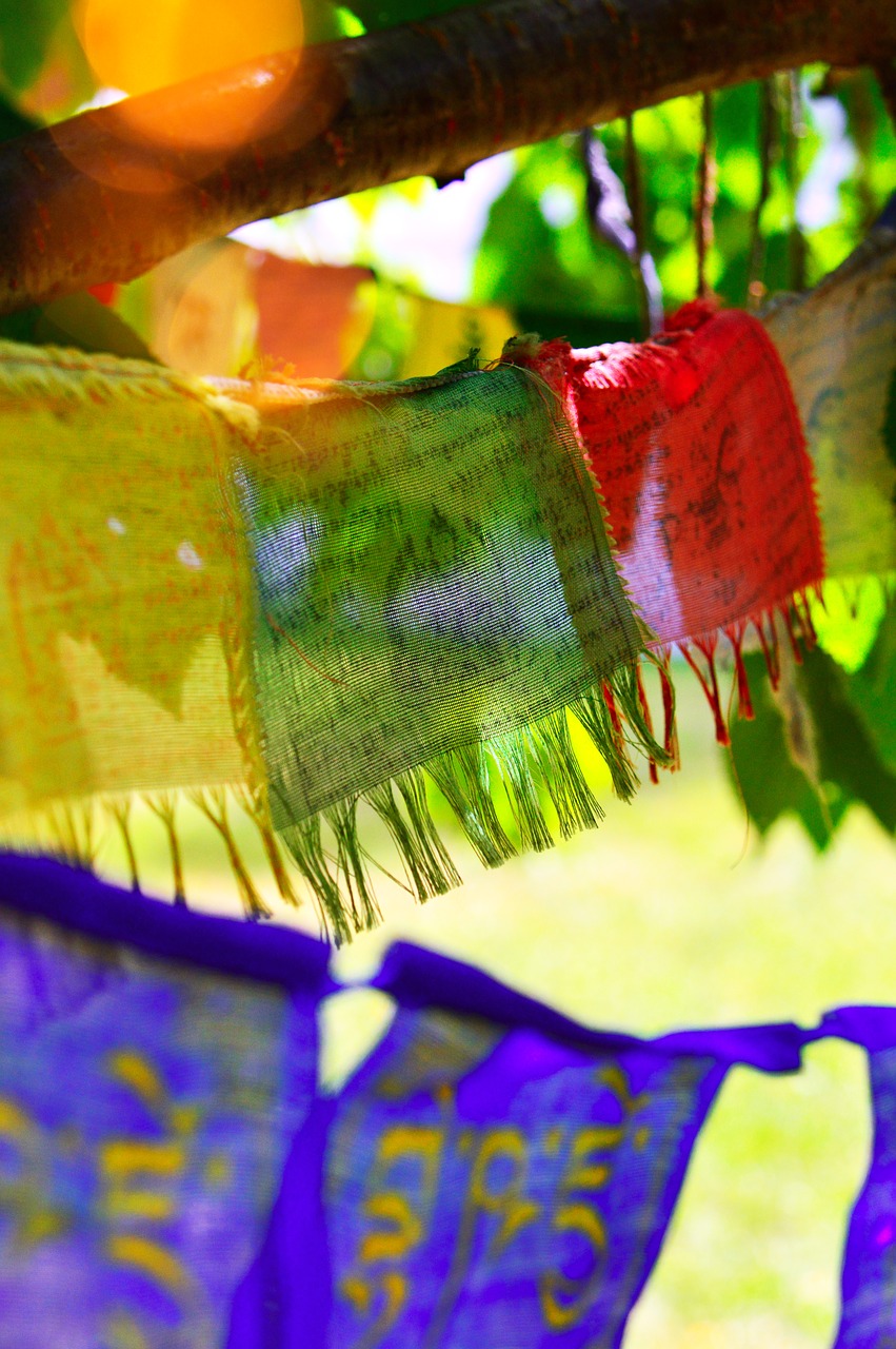 buddha  prayer flags  flag free photo