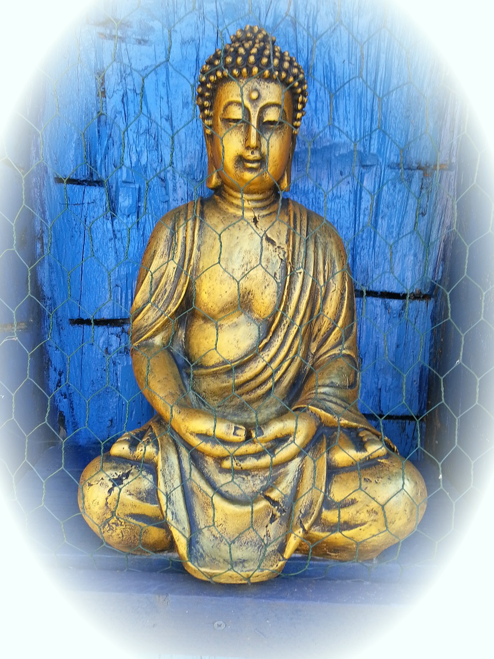 buddha buddhism meditation free photo