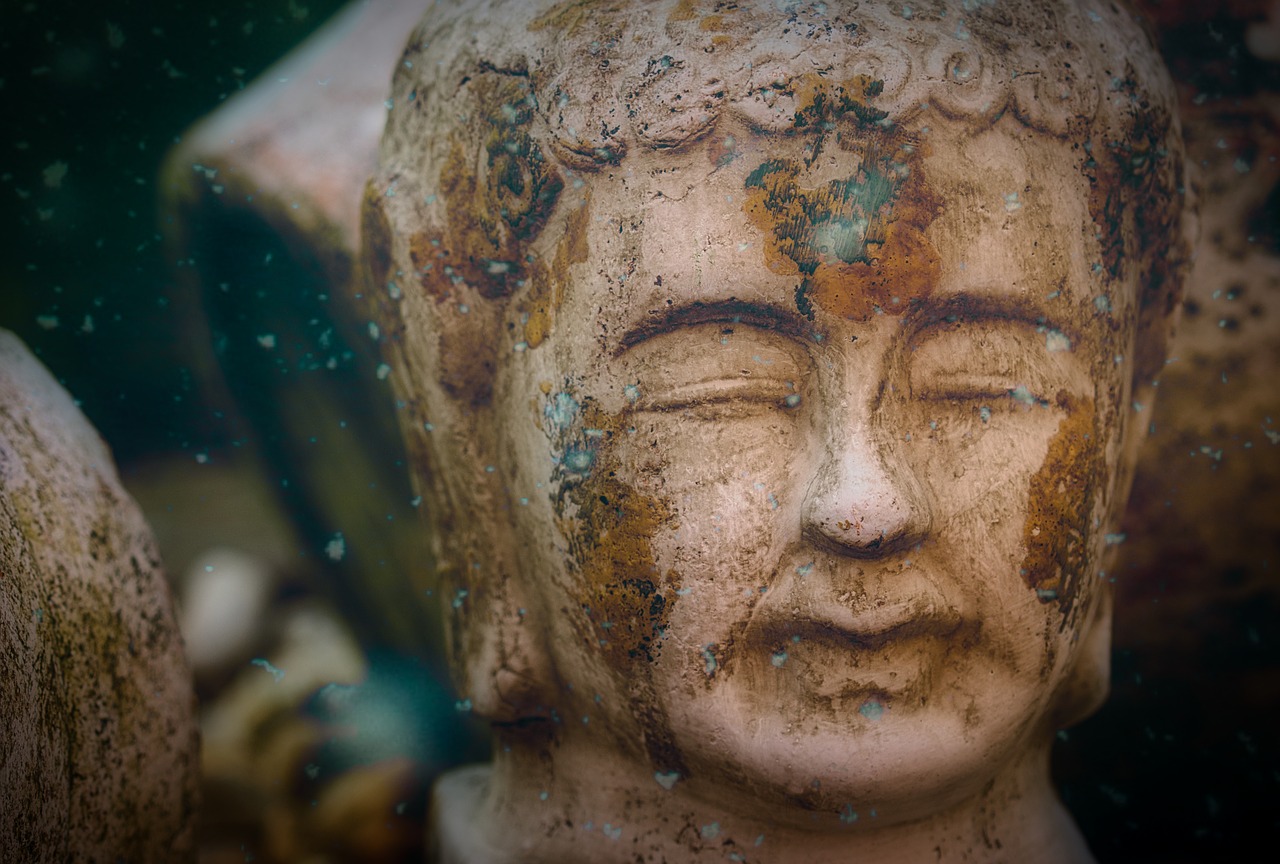 buddha  sculpture  head free photo