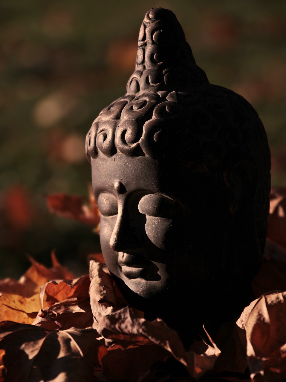 buddha  buddha figure  head free photo