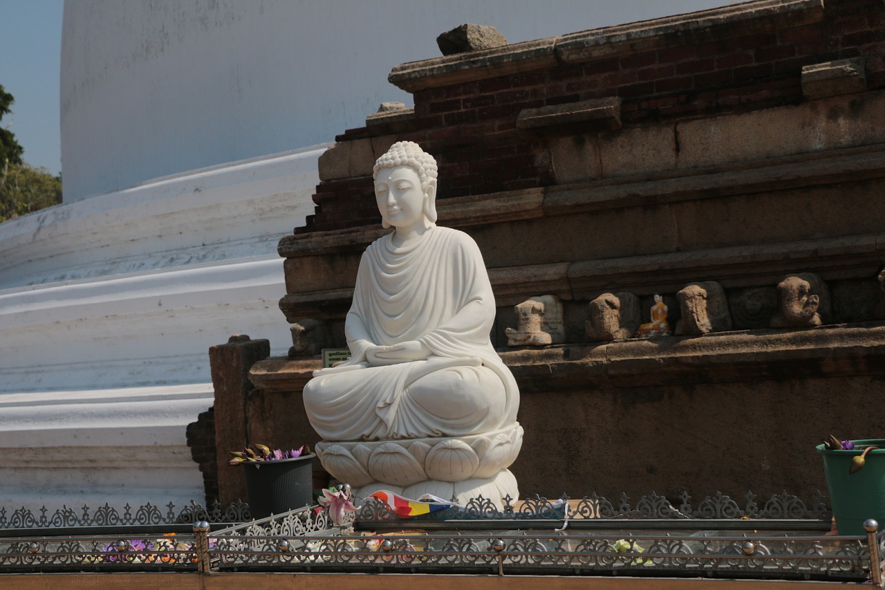 buddha  buddhist  sri lanka free photo