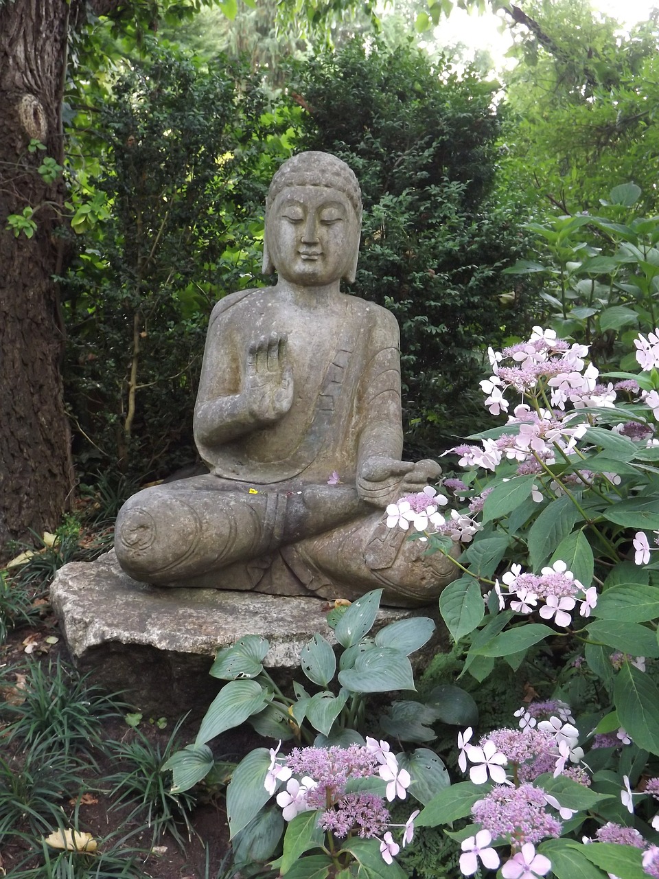 buddha figure statue free photo