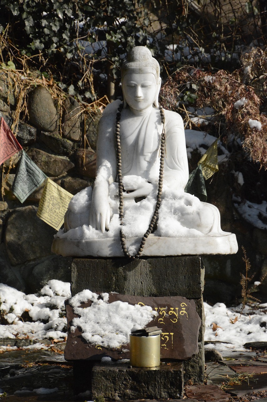 buddha  figure  meditation free photo
