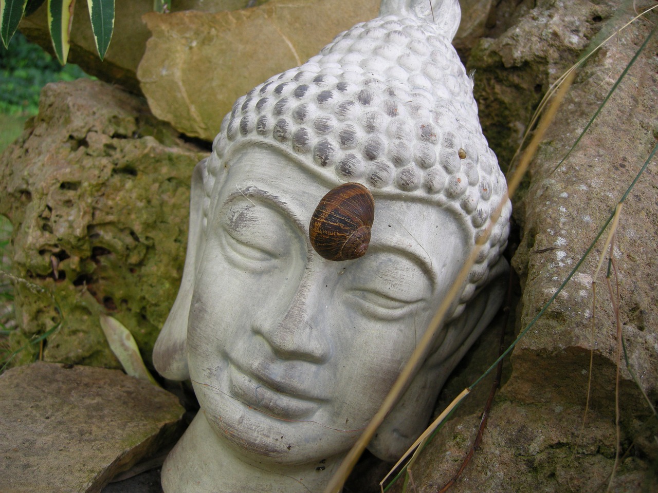 buddha stirnchakra figure free photo