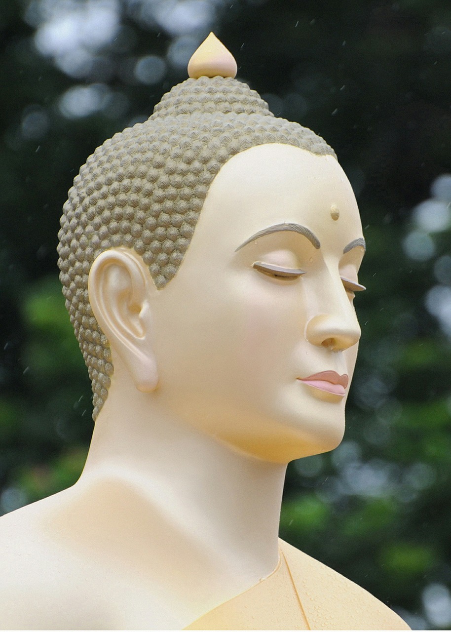 buddha buddhists meditate free photo