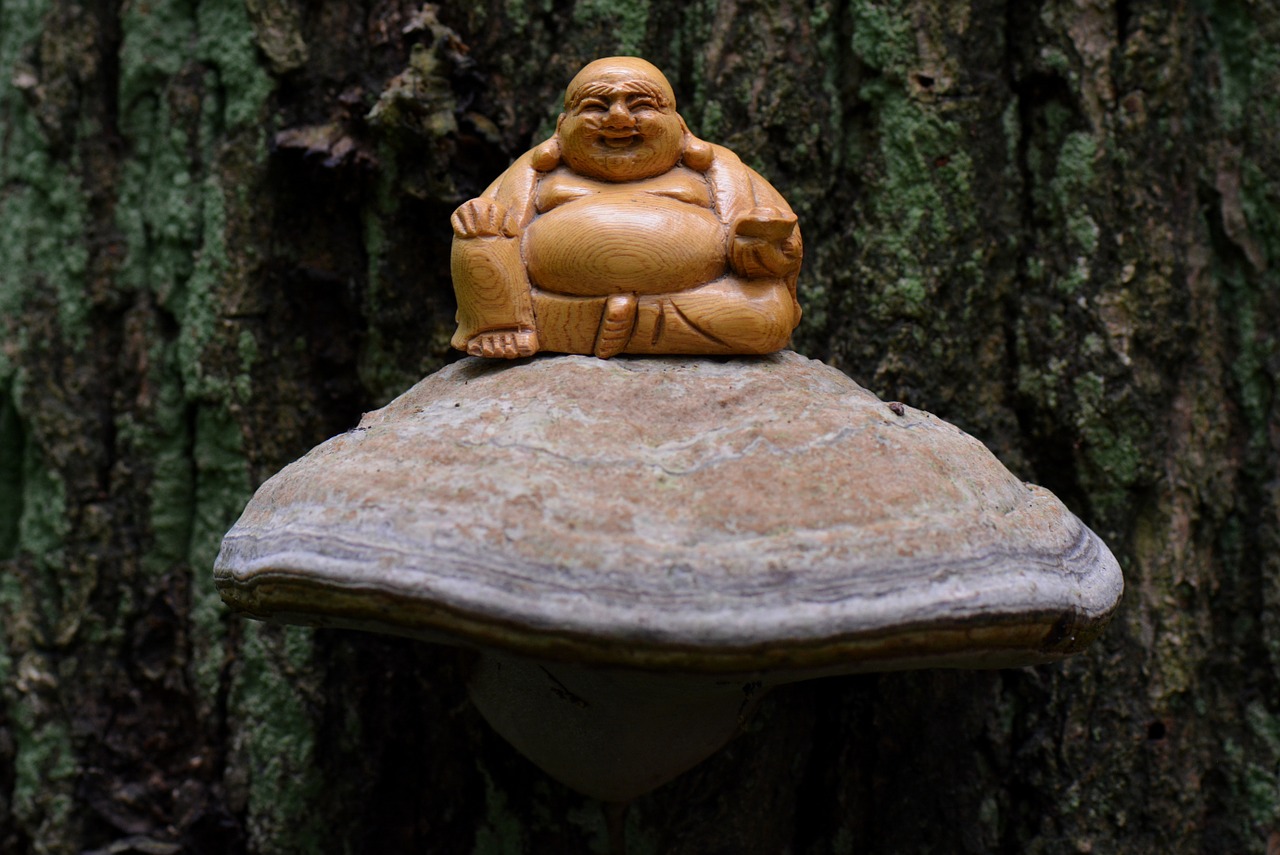 buddha meditation spirituality free photo