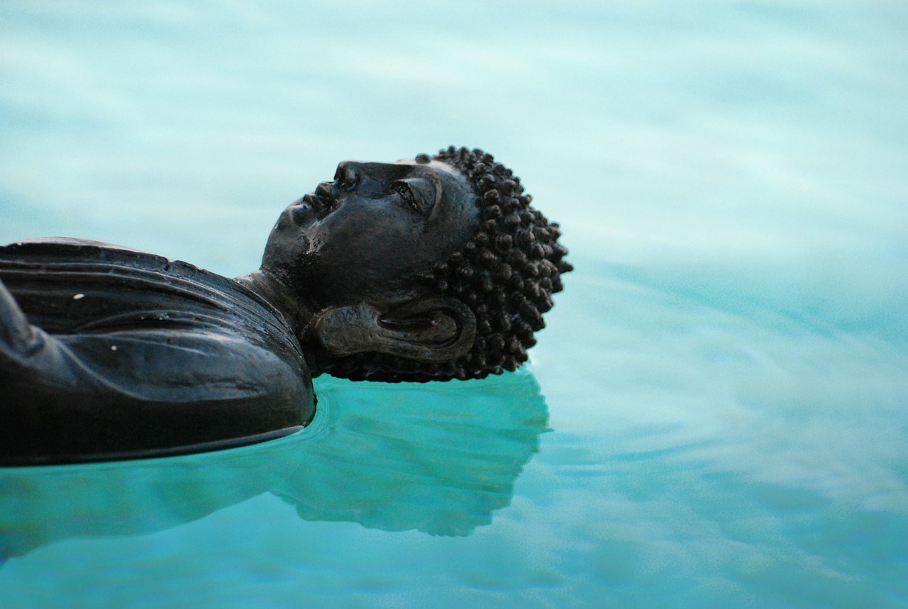 buddha zen reflection free photo