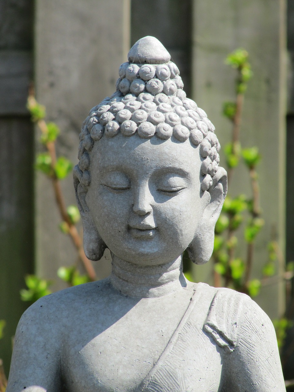 buddha meditation zen free photo