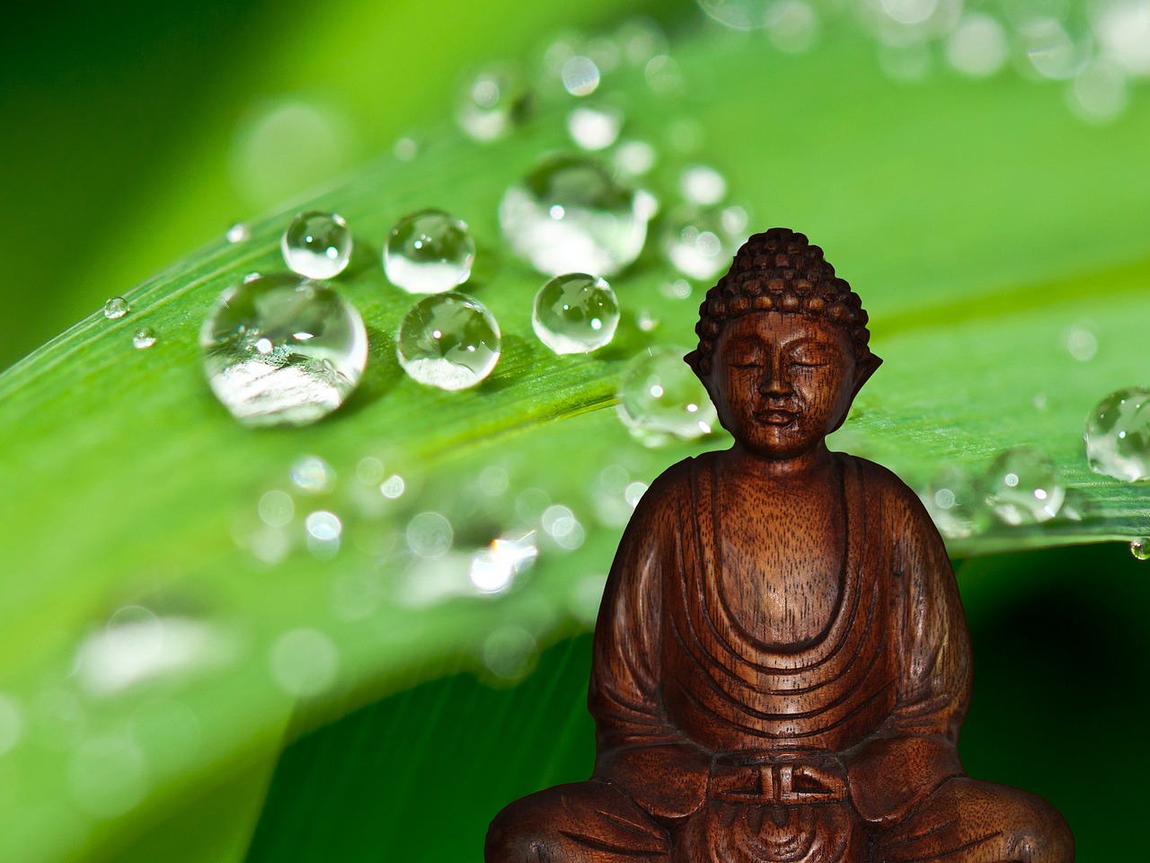buddha meditation figure free photo
