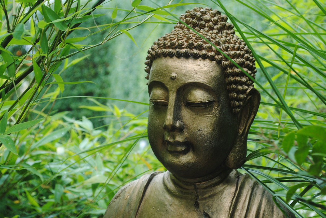 buddha asia statue free photo