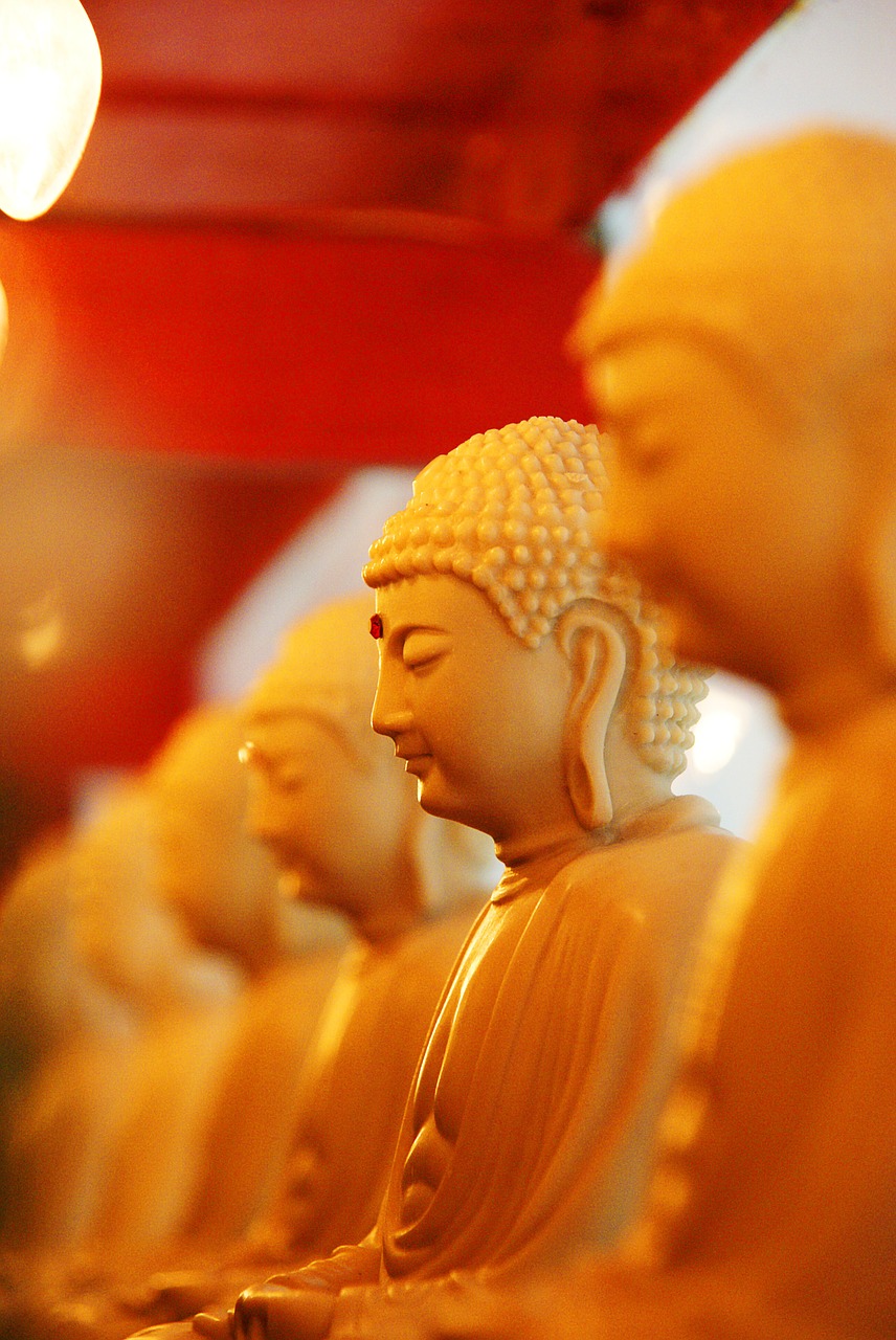 buddha religion buddhism free photo