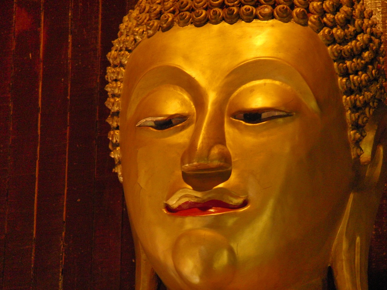 buddha budda thailand free photo