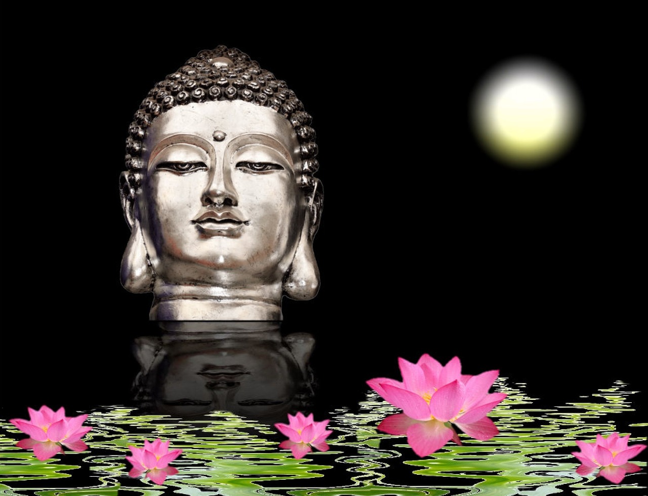 buddha buddhism lotus free photo