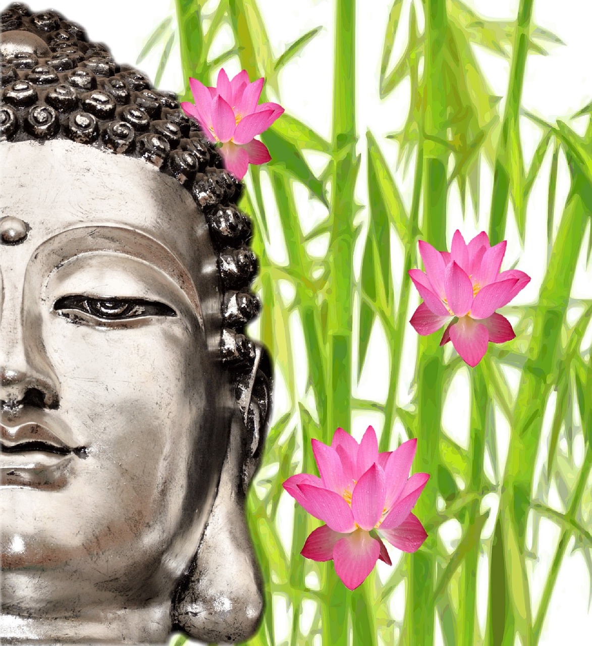 buddha buddhism lotus free photo