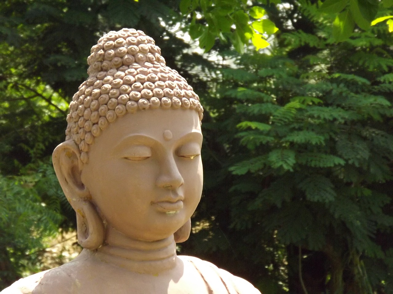buddha head garde free photo