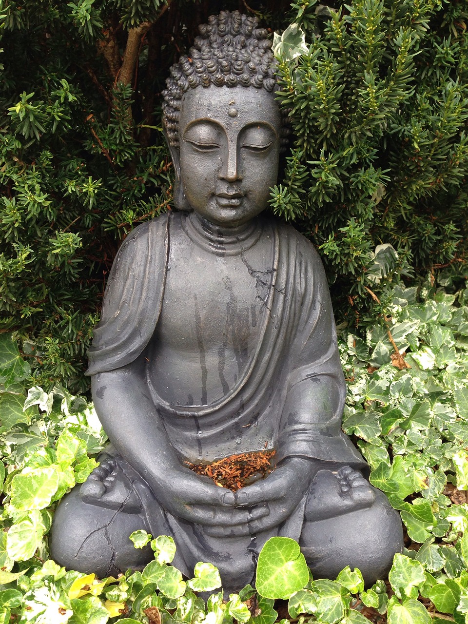 buddha garden buddhism free photo