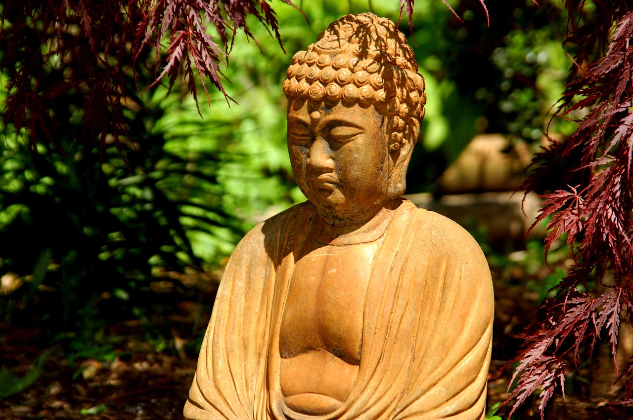 buddha garden japanese maple free photo