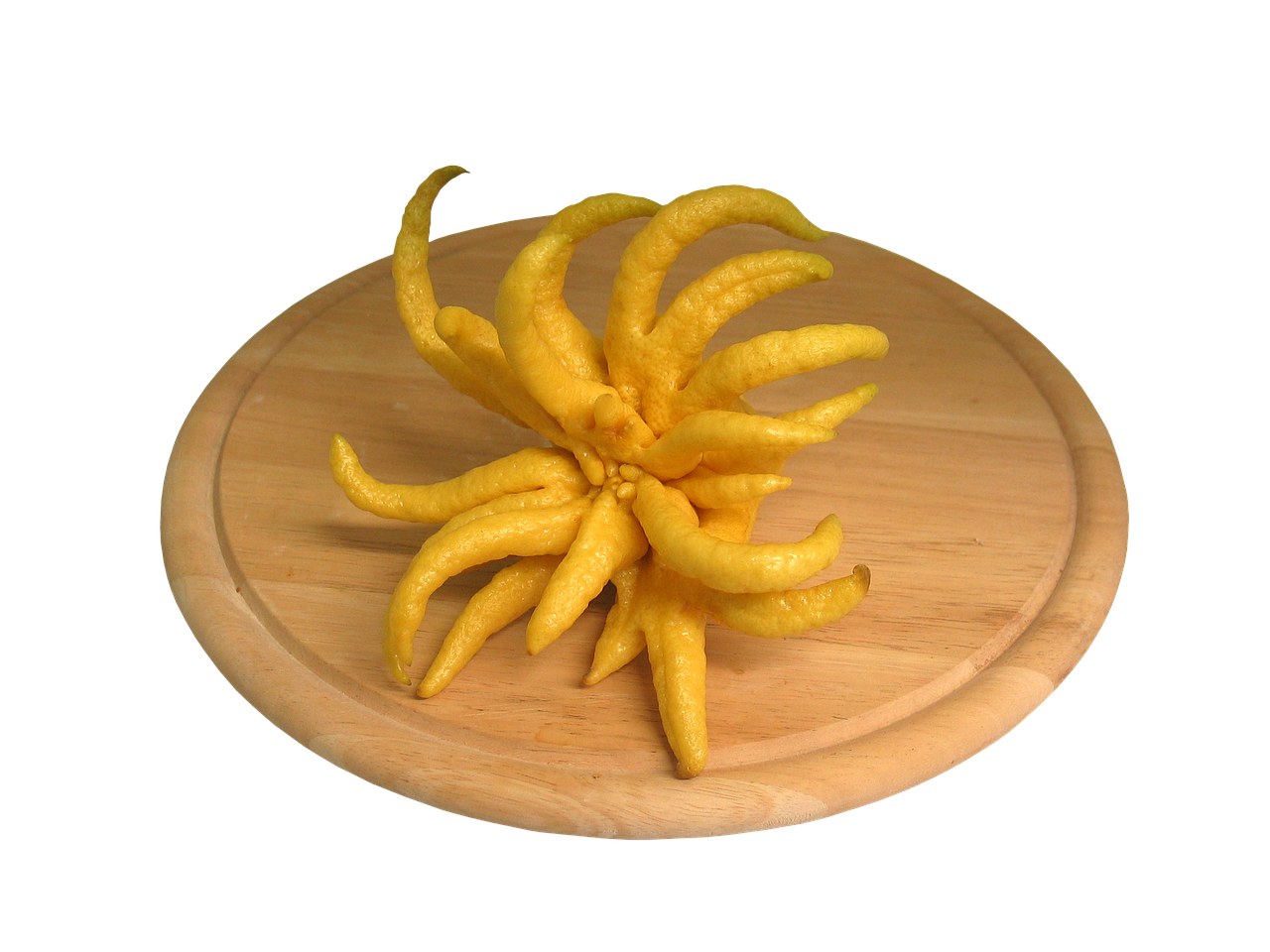 buddha hand lemon vegetables free photo