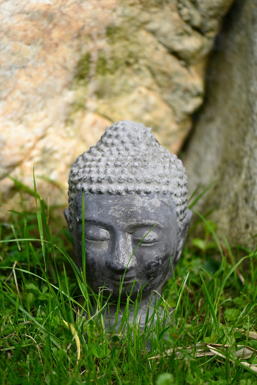 buddha head grass garden free photo