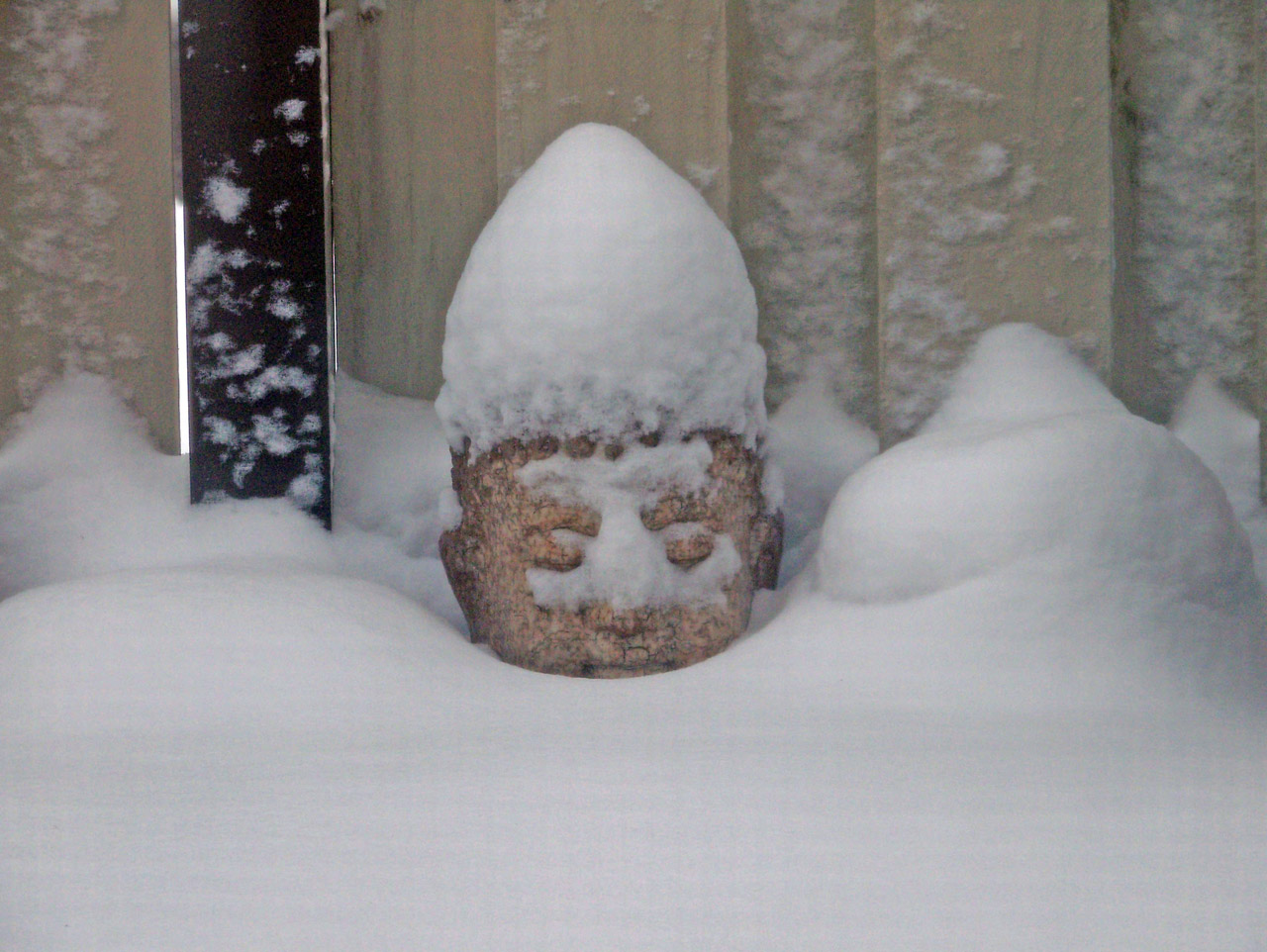 buddha head snow free photo