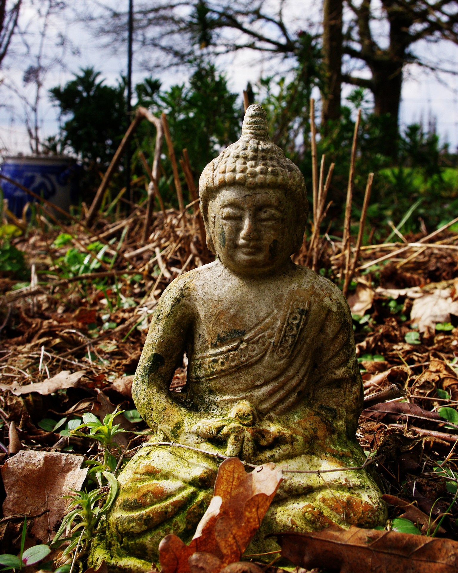 buddha meditation nature free photo