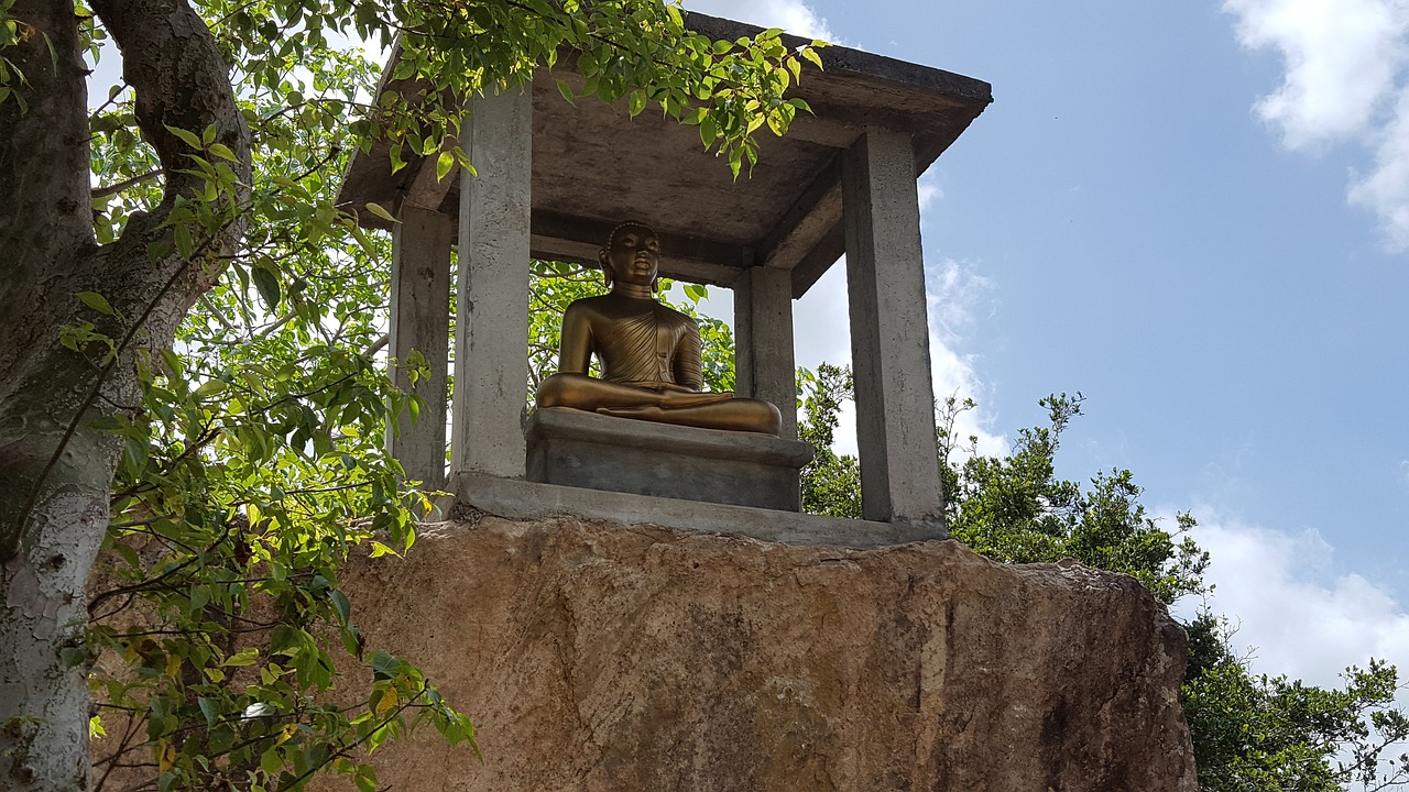 buddha statue dutugemunu forest monastery vijithapura free photo