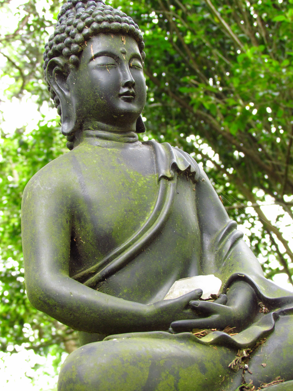 religion buddha statue free photo