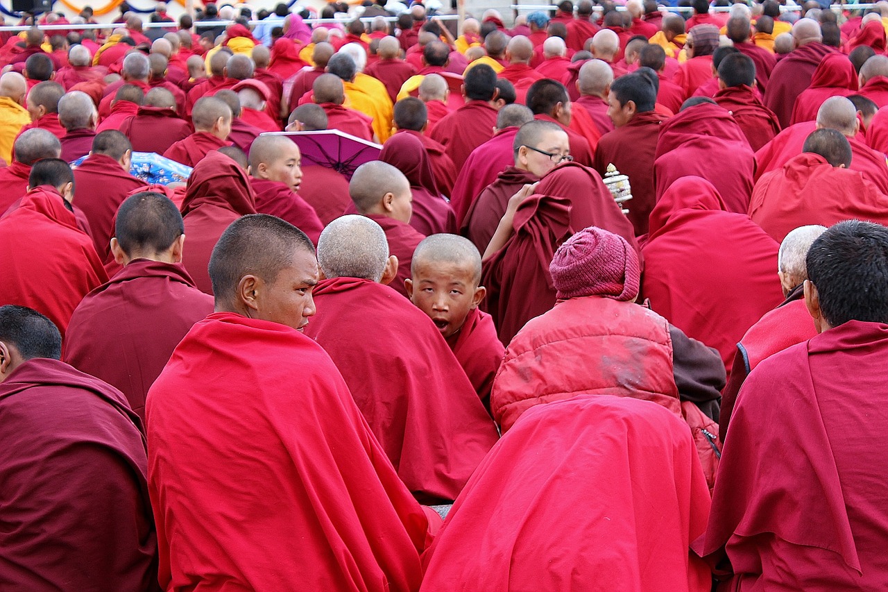 buddhism the monk spirituality free photo