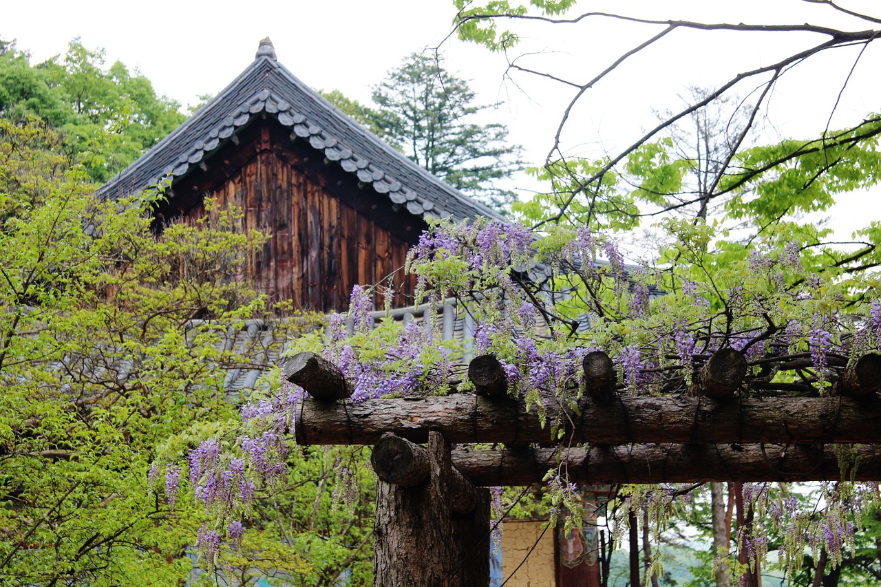 buddhism temple republic of korea free photo