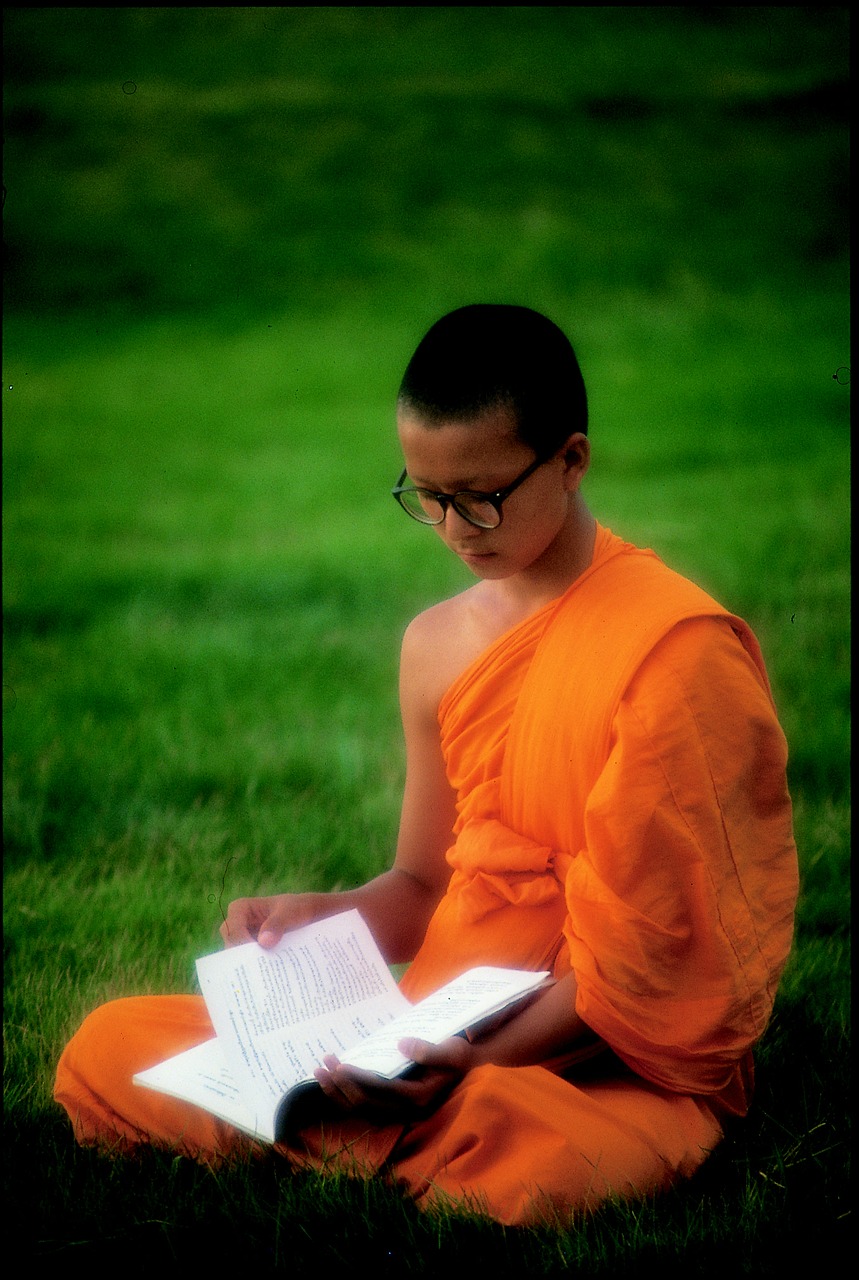 buddhist learn wat free photo