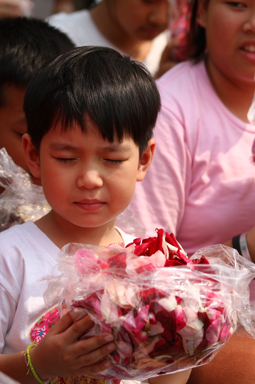 buddhists rose petals children free photo