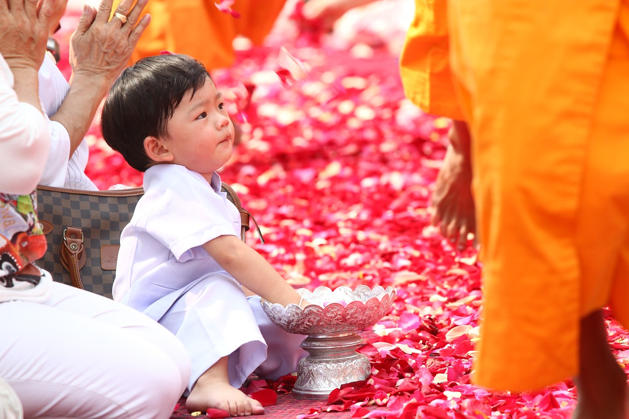 buddhists rose petals child free photo