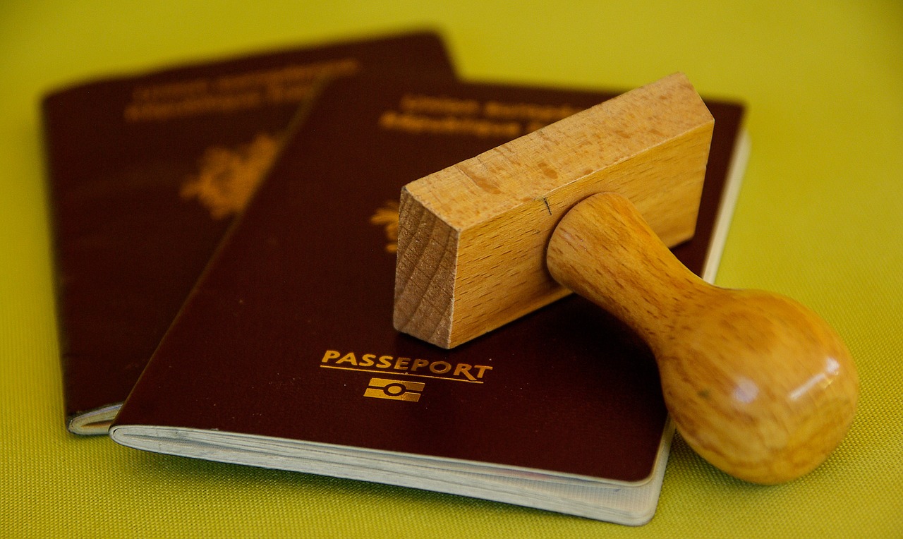 buffer passport travel free photo