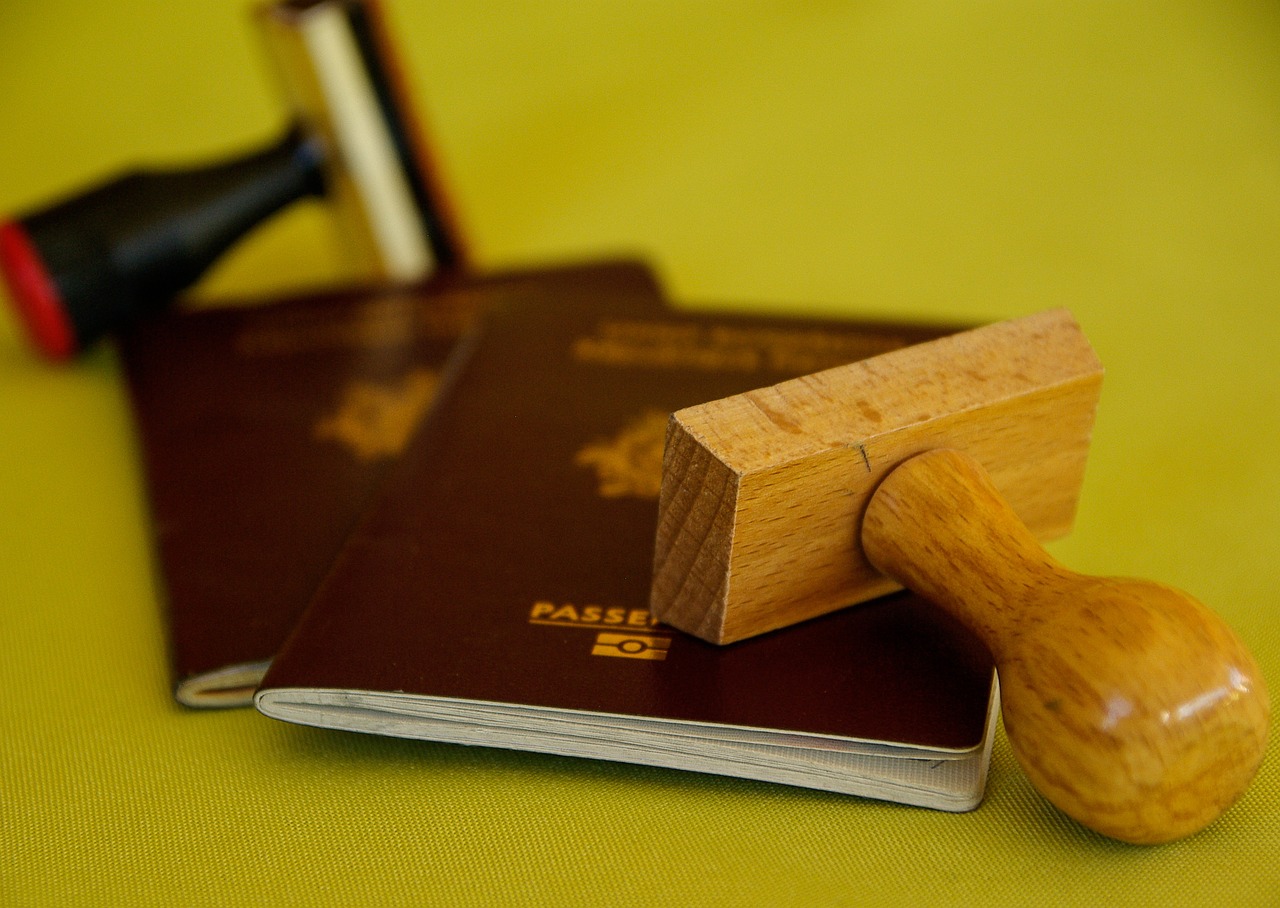 buffer passport travel free photo