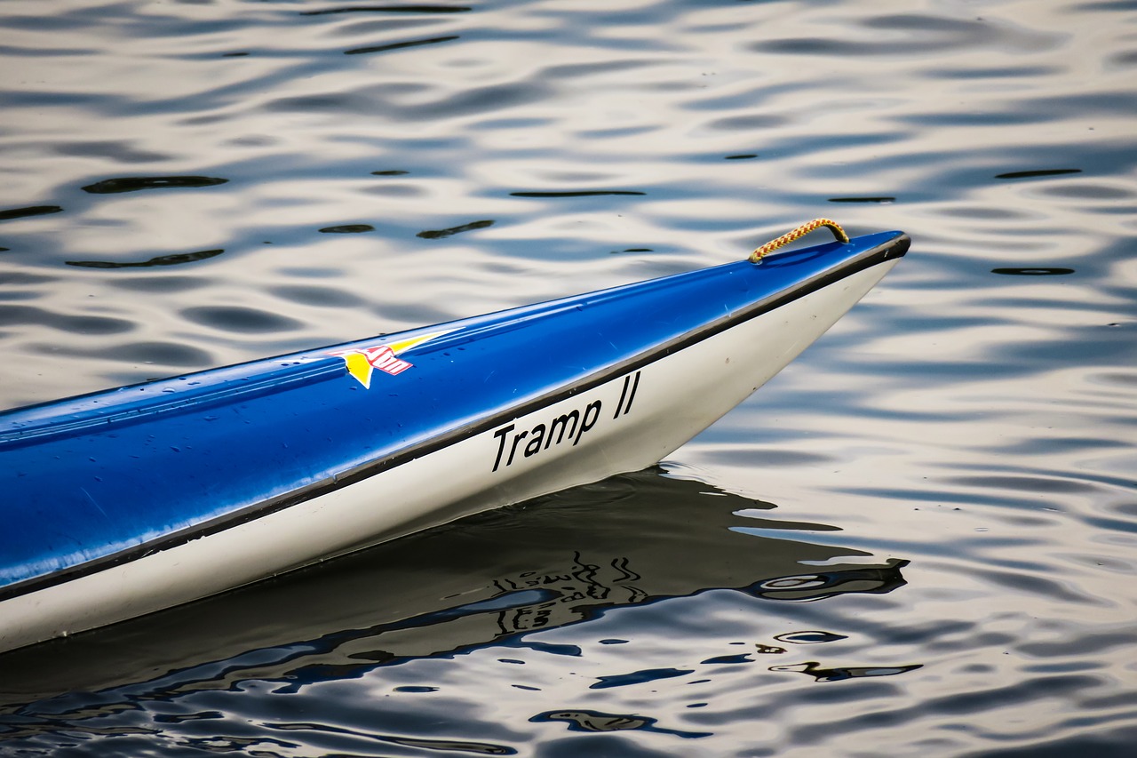 bug  boat  paddle boat free photo