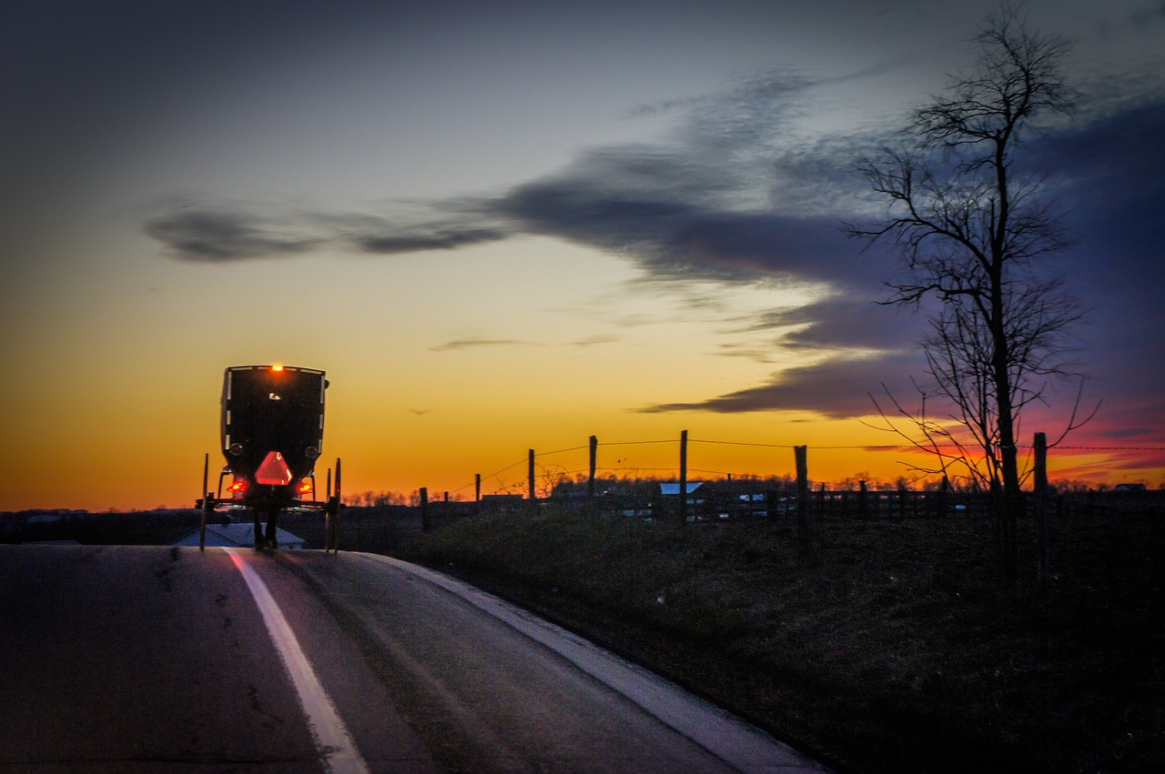 buggy evening twilight free photo